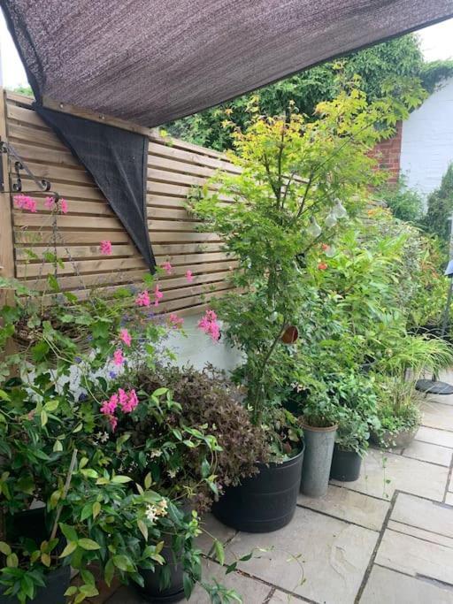 Blachington Cottage, Stunning And Central By Air Premier Seaford Ngoại thất bức ảnh